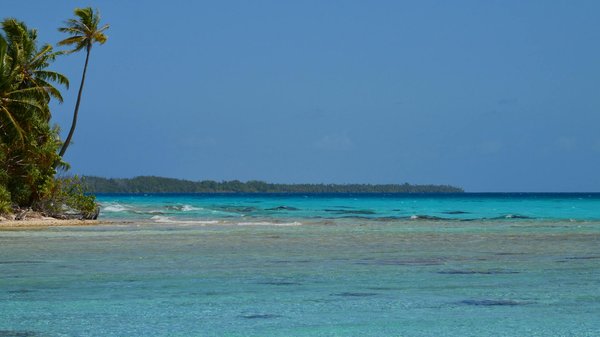 Location de mobil home en pleine nature : une aventure à essayer