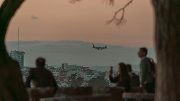 Musées du vin, une immersion dans le monde du vin
