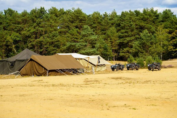 Les croisières Disney : un rêve pour les enfants ?
